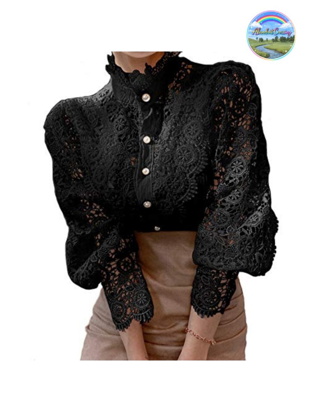 Lace Trim Button Down Blouse Long Puff Sleeve Victorian Top